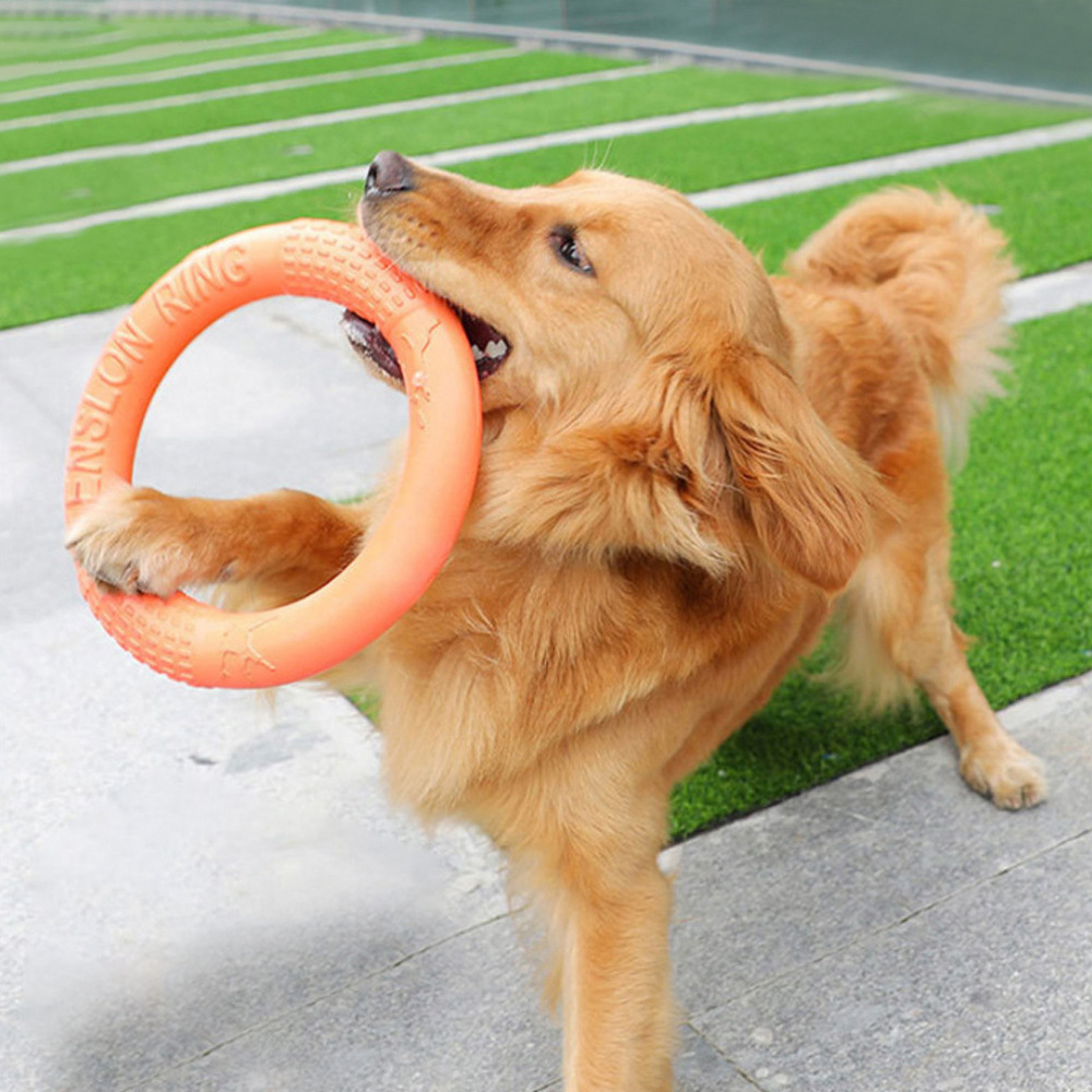 Suction Cup Dog Tug Toy - 1 Stuk Oranje Hond Speelgoed Huisdier