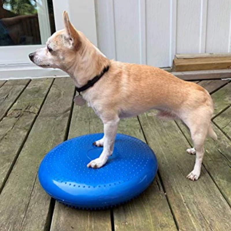 Flying Disc Dog Training Toy - Honden Training Hulpmiddelen Balans Vliegende Schotel