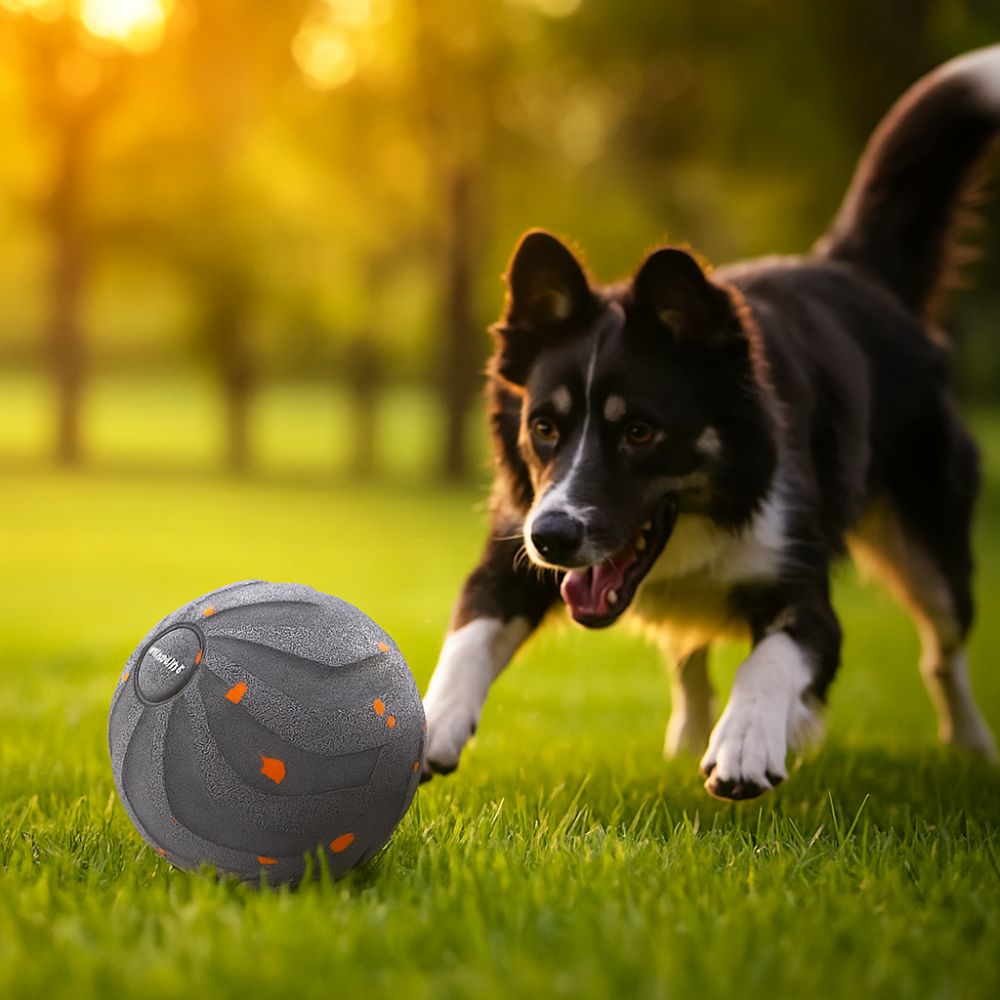 Automatic Moving Dog Ball - Bijtbestendig Smart Dog Toy Ball Slijtvast