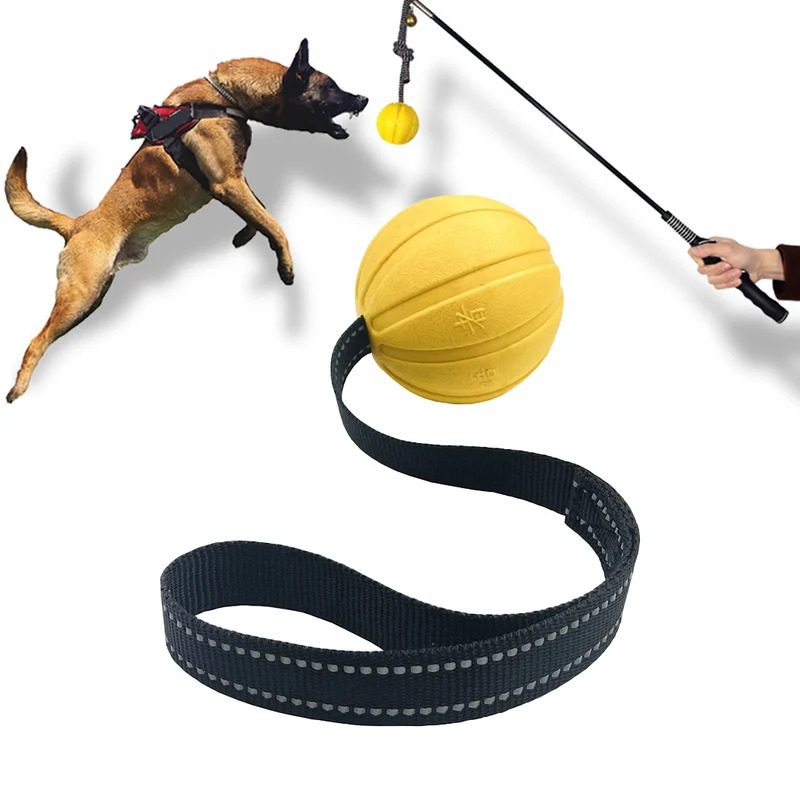 Dog Rope Toy Aggressive Chewers - Duurzame hondenspeelgoedballen aan een touw voor