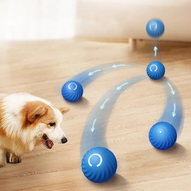 Suction Cup Dog Tug Toy - Hondenspeelgoed Intelligente zwaartekrachtsprongbal Oplaadbare bijtbestendige rollende