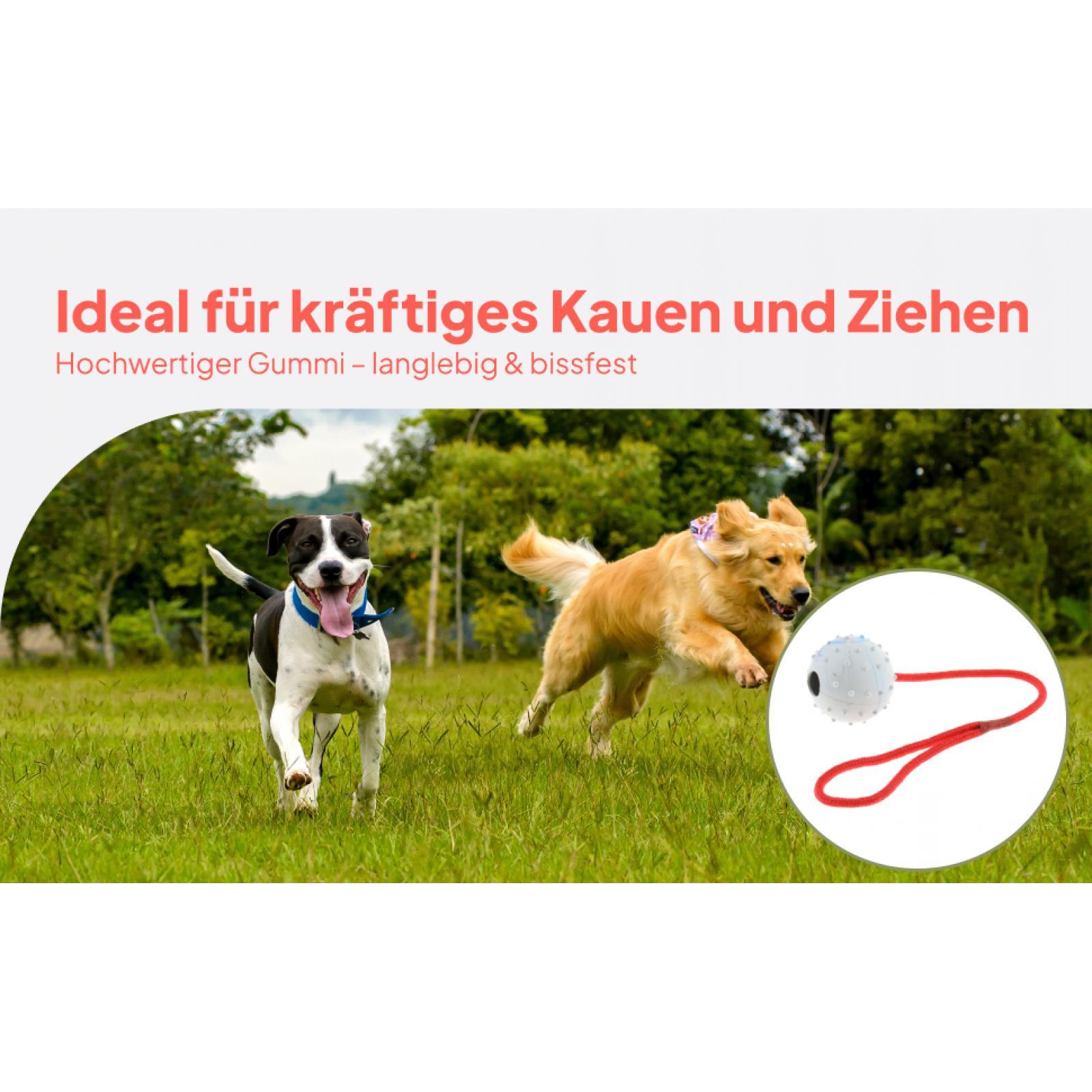 Rubber Treat Dispensing Dog Toy - Hondenspeelgoed van zacht rubber, kauwbal, interactieve