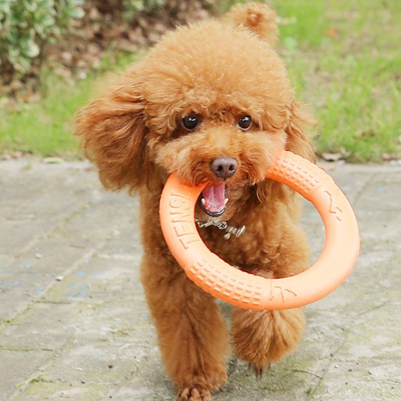 1 Stuk Oranje Hond Speelgoed H - Suction Cup Dog Tug Toy recensie en prijs