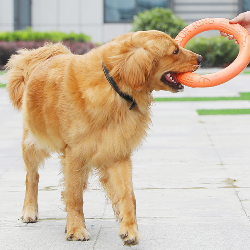 1 Stuk Oranje Hond Speelgoed H - Suction Cup Dog Tug Toy recensie en prijs