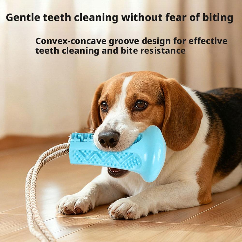 Zuignap hondenspeeltje interac - Suction Cup Dog Tug Toy recensie en prijs