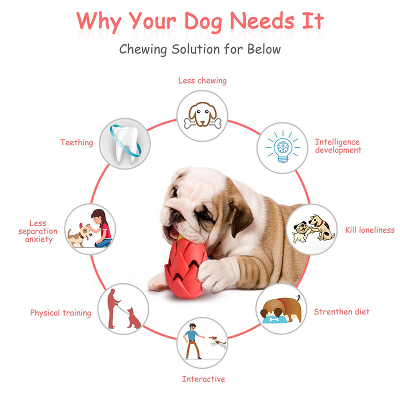 Benepaw Onverwoestbaar Pitaya  - Indestructible Dog Chew Toy recensie en prijs