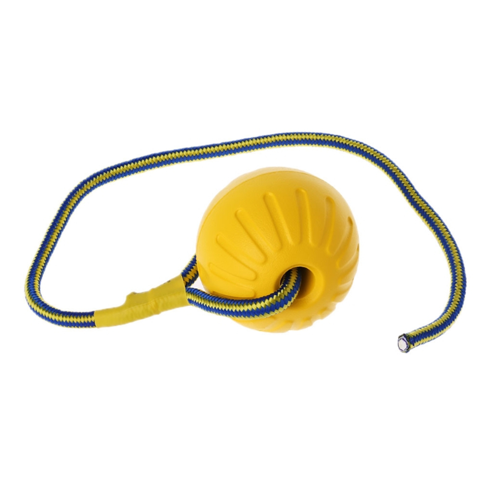 Hondenspeelgoedbal met touw Bu - Suction Cup Dog Tug Toy recensie en prijs