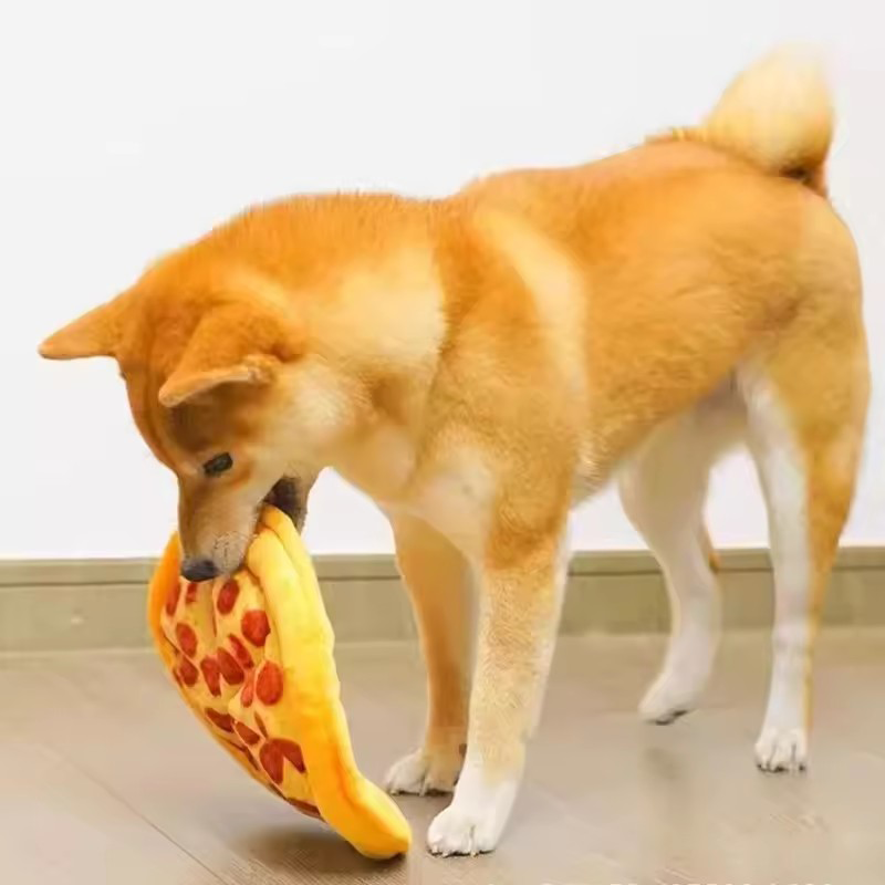 Milieuvriendelijk, duurzaam pl - Snuffle Mat For Dogs recensie en prijs