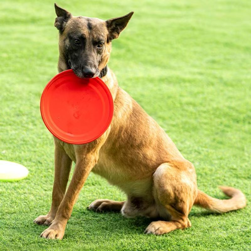 Harde plastic hondenvliegende  - Flying Disc Dog Training Toy recensie en prijs