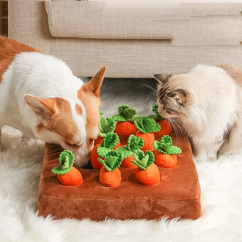 Hondenspeelgoed Snuffelmat voo - Snuffle Mat For Dogs recensie en prijs