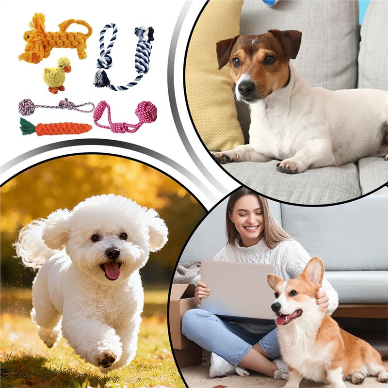Touw voor honden 6 stuks Katoe - Dog Rope Toy Aggressive Chewers recensie en prijs