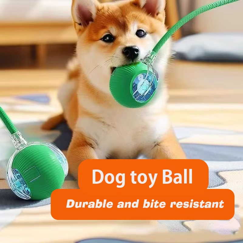 Nieuwe interactieve hondenspee - Automatic Moving Dog Ball recensie en prijs