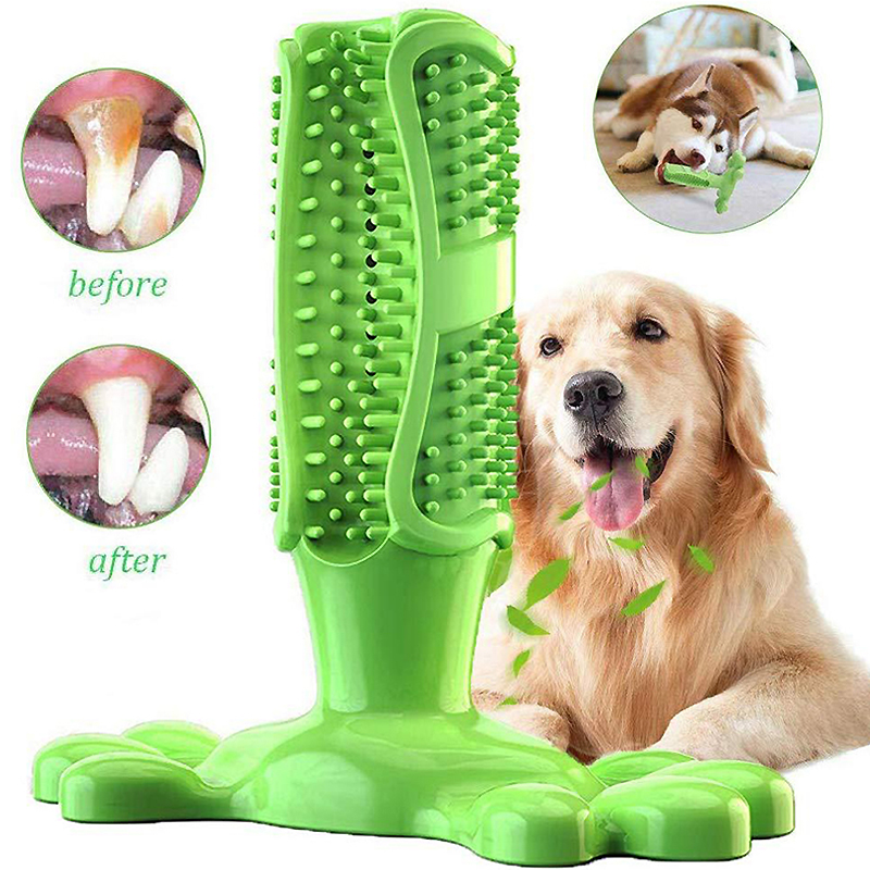 Huisdier Hond Cactus Interacti - Rubber Treat Dispensing Dog Toy recensie en prijs