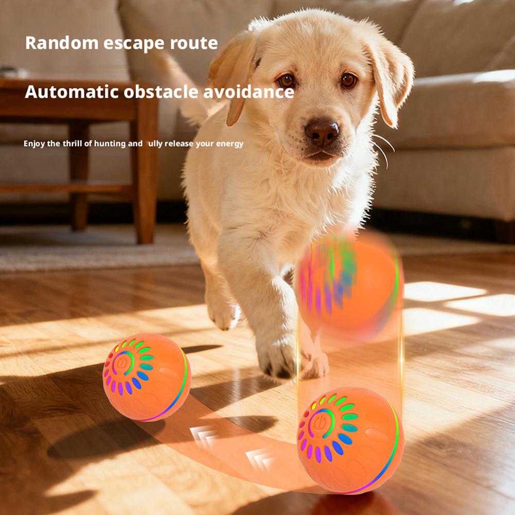 Slimme hondenspeelgoedbal Auto - Automatic Moving Dog Ball recensie en prijs