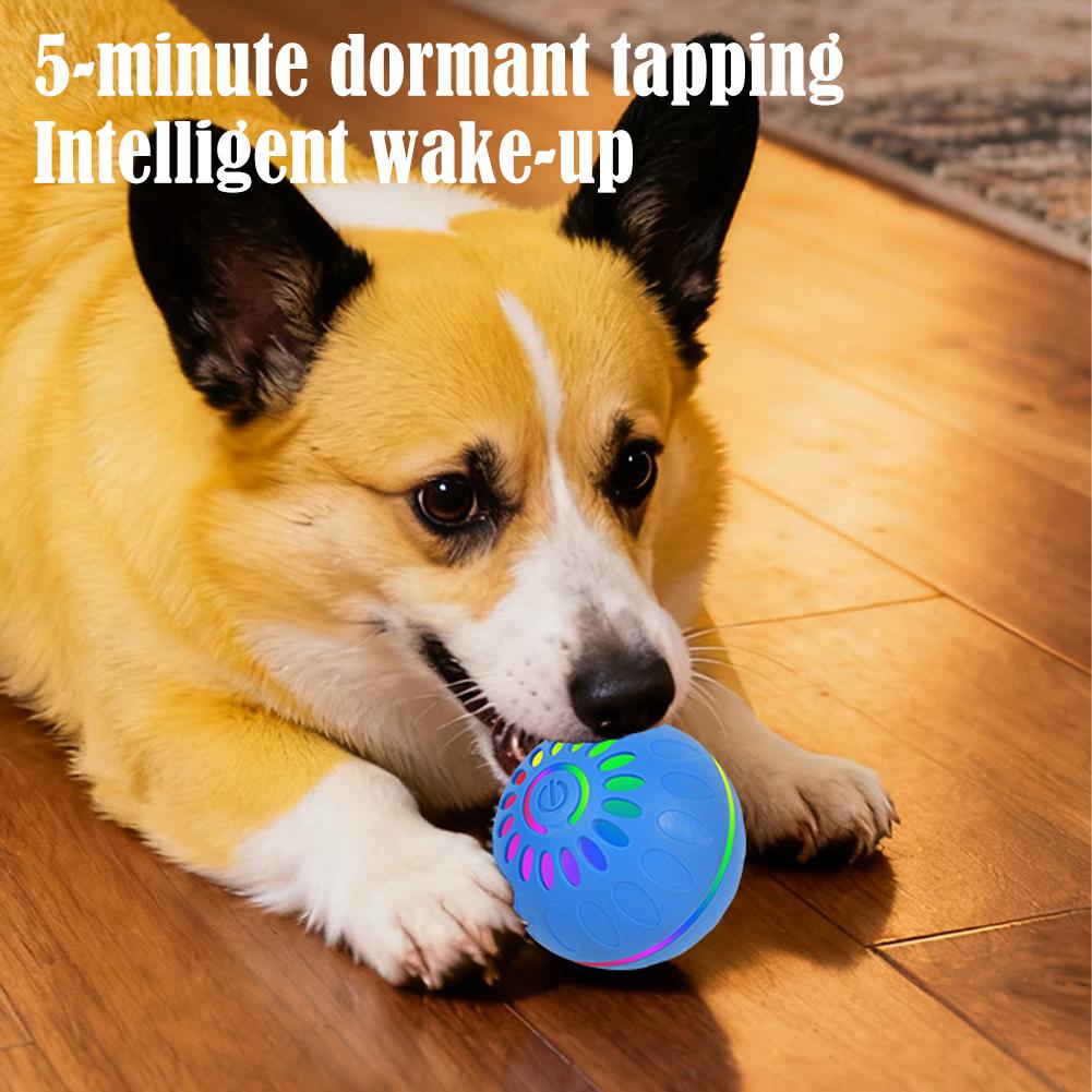 Slimme hondenspeelgoedbal Auto - Automatic Moving Dog Ball recensie en prijs