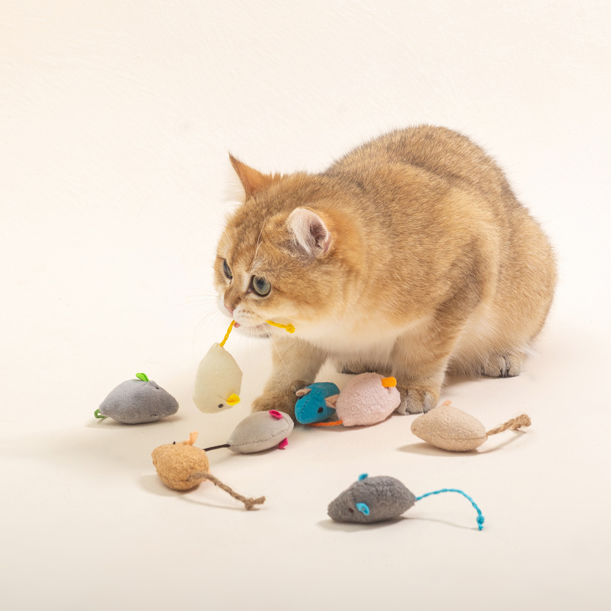 16PCS Interactieve Kat Muizen  - Catnip Interactive Plush Mouse recensie en prijs