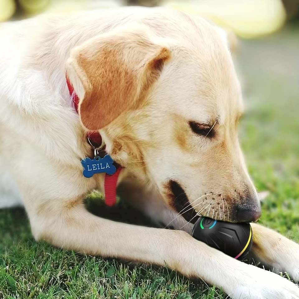 Interactieve slimme hondenspee - Automatic Moving Dog Ball recensie en prijs