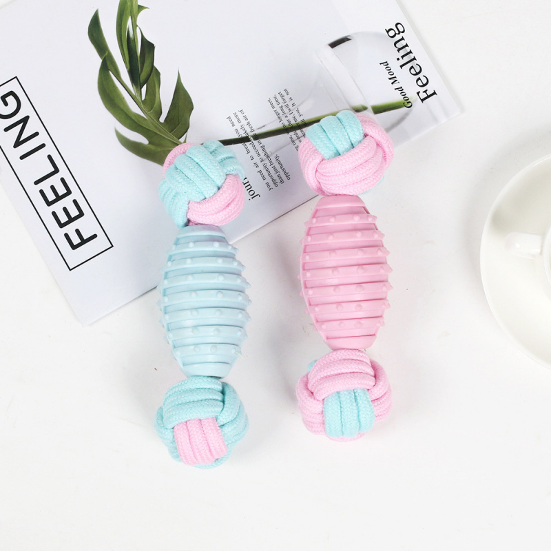 Onverwoestbaar en duurzaam hon - Indestructible Dog Chew Toy recensie en prijs