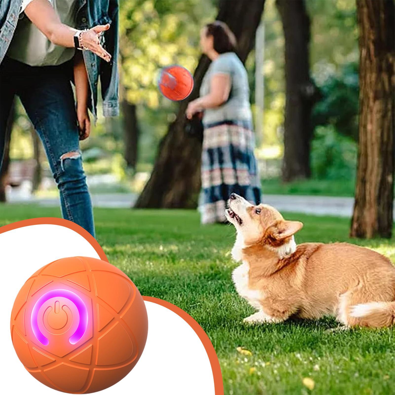 Slim interactief hondenspeelgo - Automatic Moving Dog Ball recensie en prijs
