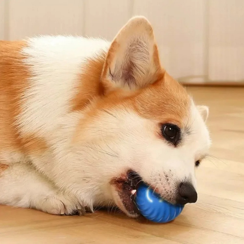 Automatische bewegende, stuite - Suction Cup Dog Tug Toy recensie en prijs
