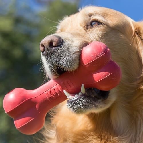 Klassieke duurzame hondenbot v - Rubber Treat Dispensing Dog Toy recensie en prijs