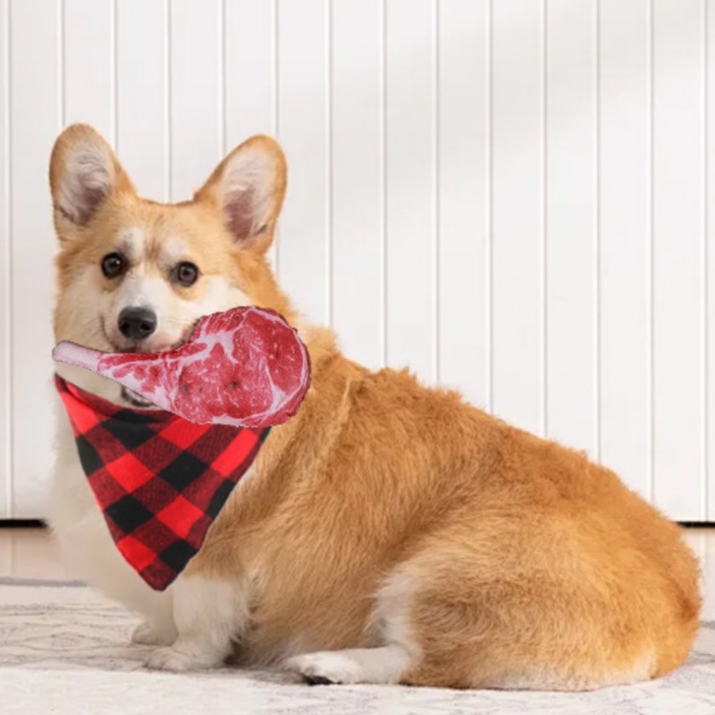 Gesimuleerd Steak Piepend Hond - Teeth Cleaning Dog Chew Bone recensie en prijs