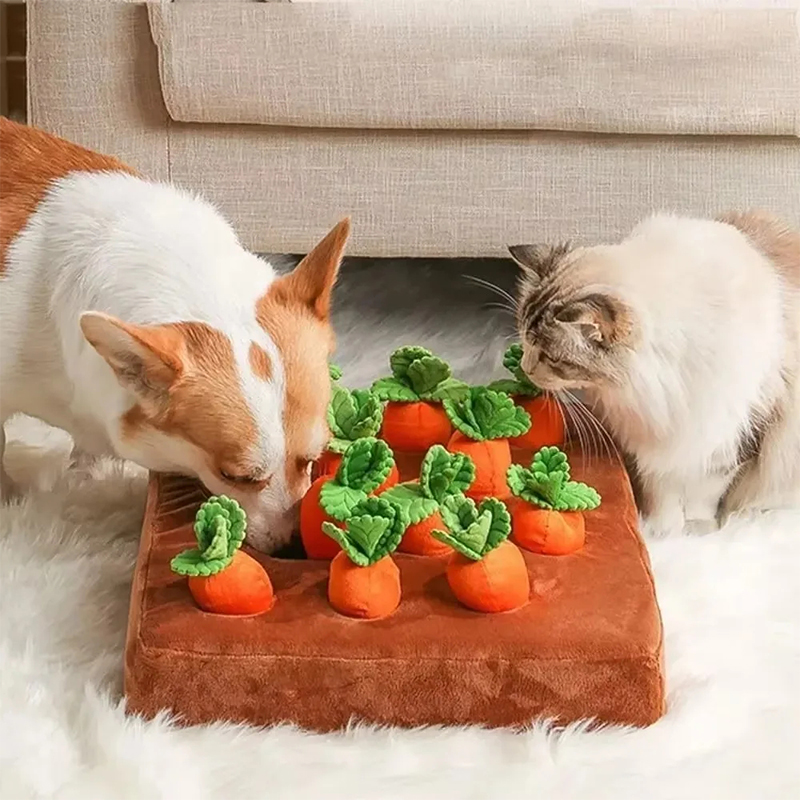 Snuffelmat voor honden, intera - Snuffle Mat For Dogs recensie en prijs