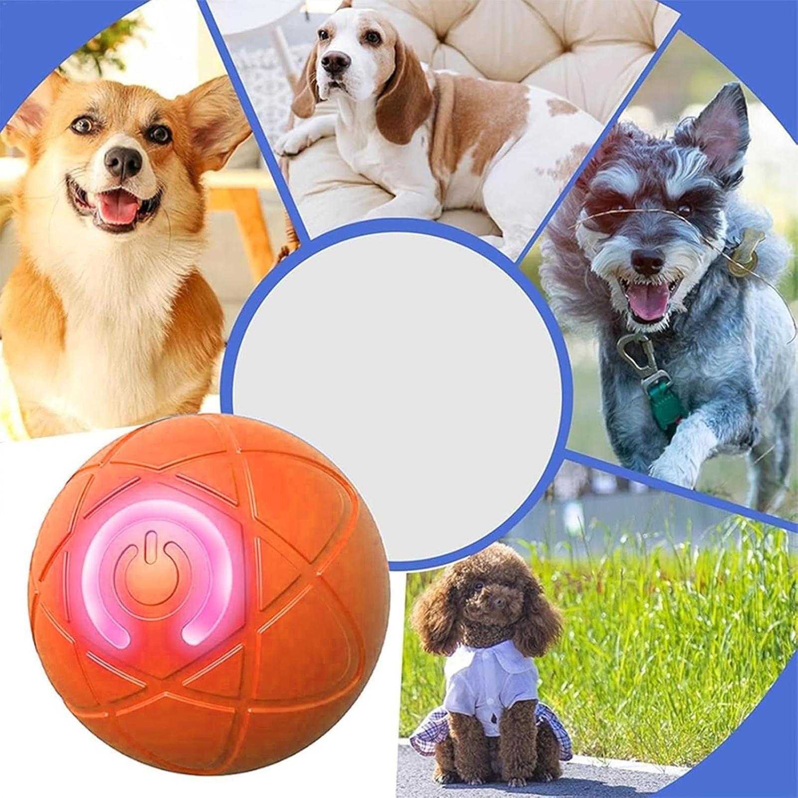 Slimme Hondenspeelgoed Bal Ele - Automatic Moving Dog Ball recensie en prijs