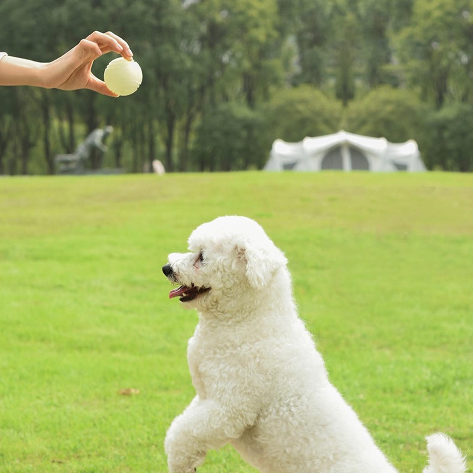 Hondenspeelgoedballen Glow-in- - Dog Rope Toy Aggressive Chewers recensie en prijs