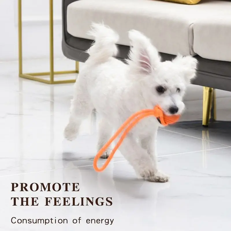 Honden Trainingsbal Op Touw Ka - Suction Cup Dog Tug Toy recensie en prijs