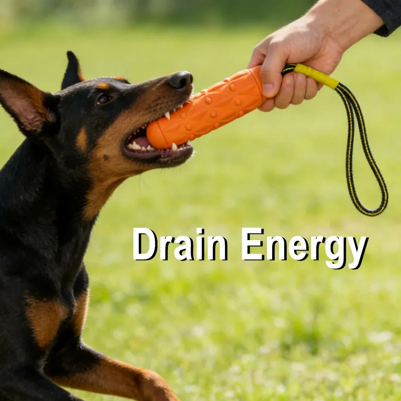 Onverwoestbaar hondenspeelgoed - Dog Rope Toy Aggressive Chewers recensie en prijs