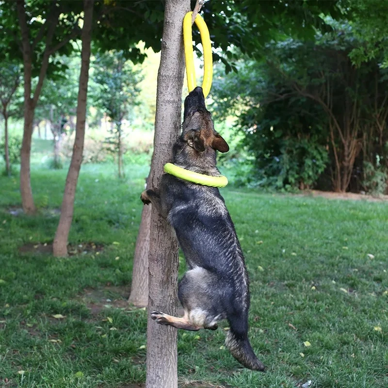 Honden Speelgoed Huisdier Vlie - Suction Cup Dog Tug Toy recensie en prijs