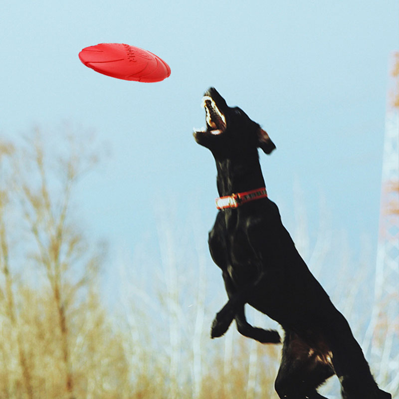 Rubber Hond Vliegende Schijven - Flying Disc Dog Training Toy recensie en prijs