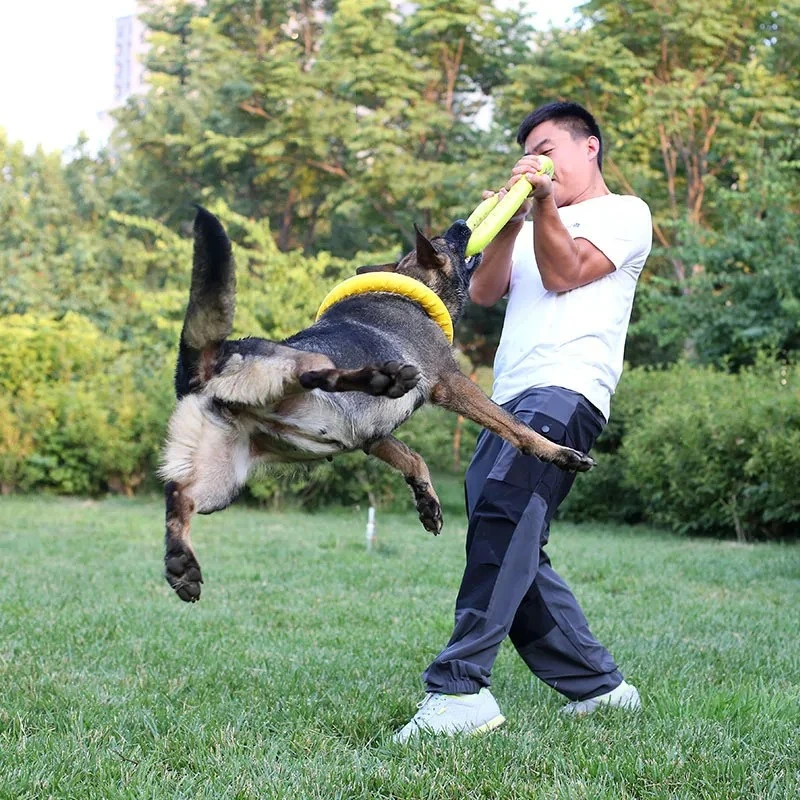 Hondenspeelgoed Vliegende schi - Flying Disc Dog Training Toy recensie en prijs