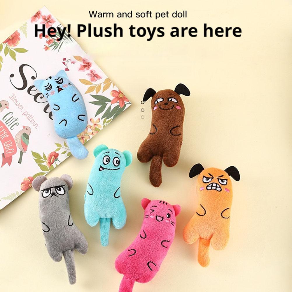 Cartoon Expressie Kattenspeelg - Catnip Interactive Plush Mouse recensie en prijs