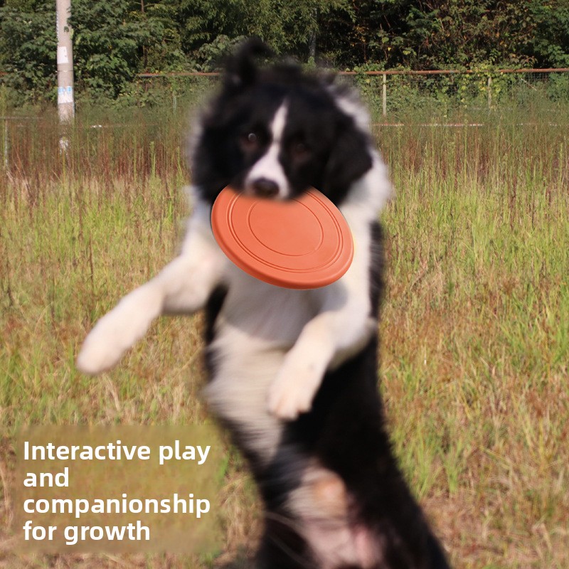 Bijtbestendige drijvende zacht - Flying Disc Dog Training Toy recensie en prijs