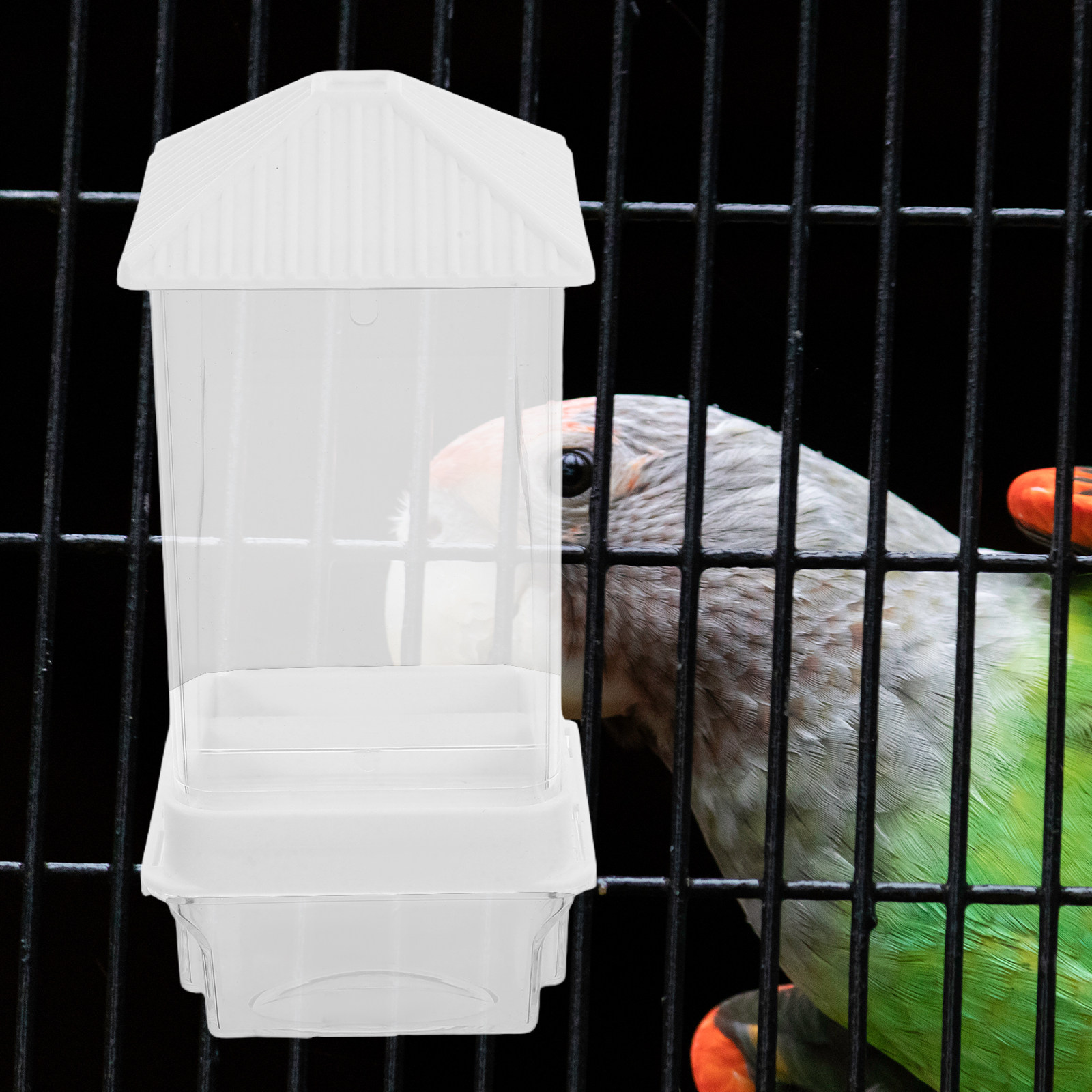 Automatische Vogelvoederbak va - Pet Feeders recensie en prijs