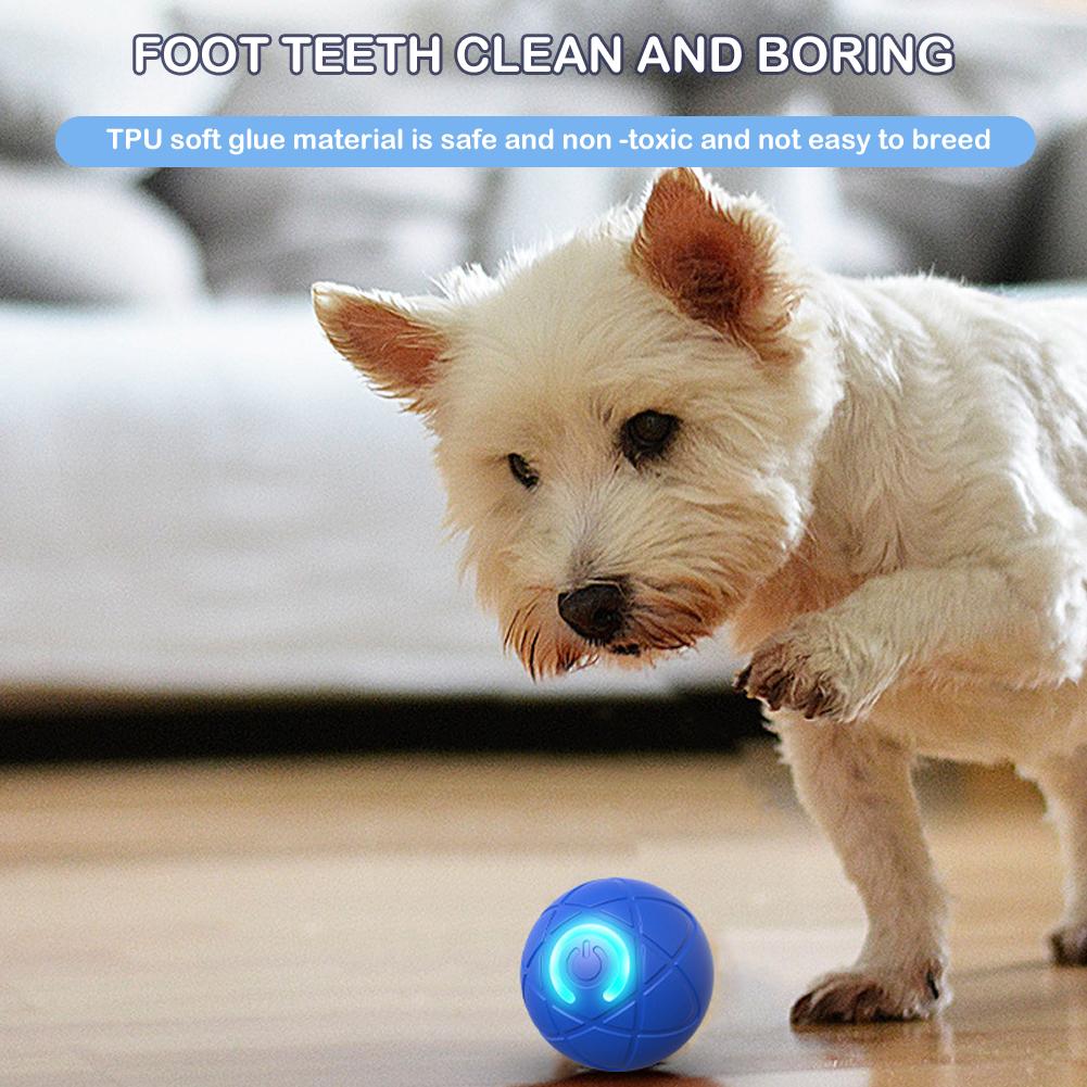 Elektronisch interactief huisd - Automatic Moving Dog Ball recensie en prijs