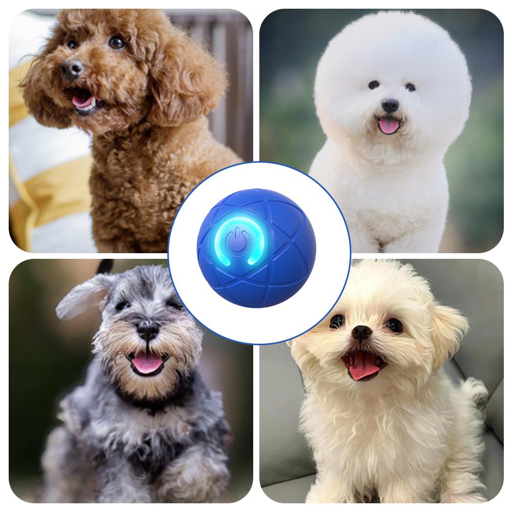 Elektronisch interactief huisd - Automatic Moving Dog Ball recensie en prijs
