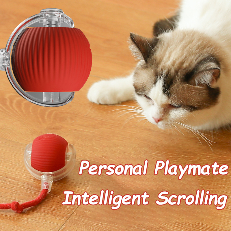 Nieuwe Kat Interactieve Bal Sp - Automatic Moving Dog Ball recensie en prijs