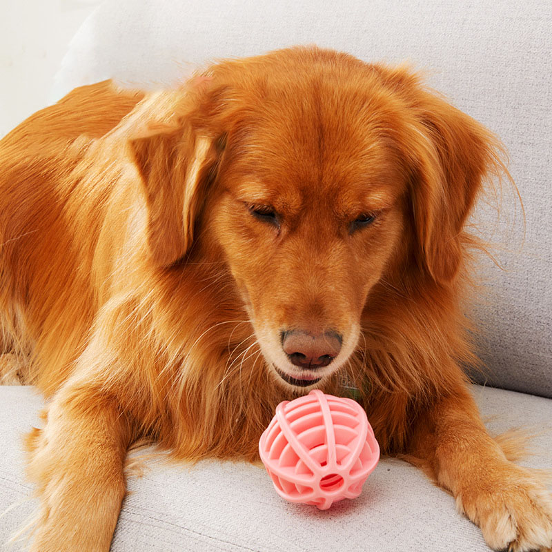Duurzaam rubberen traktatie-di - Rubber Treat Dispensing Dog Toy recensie en prijs