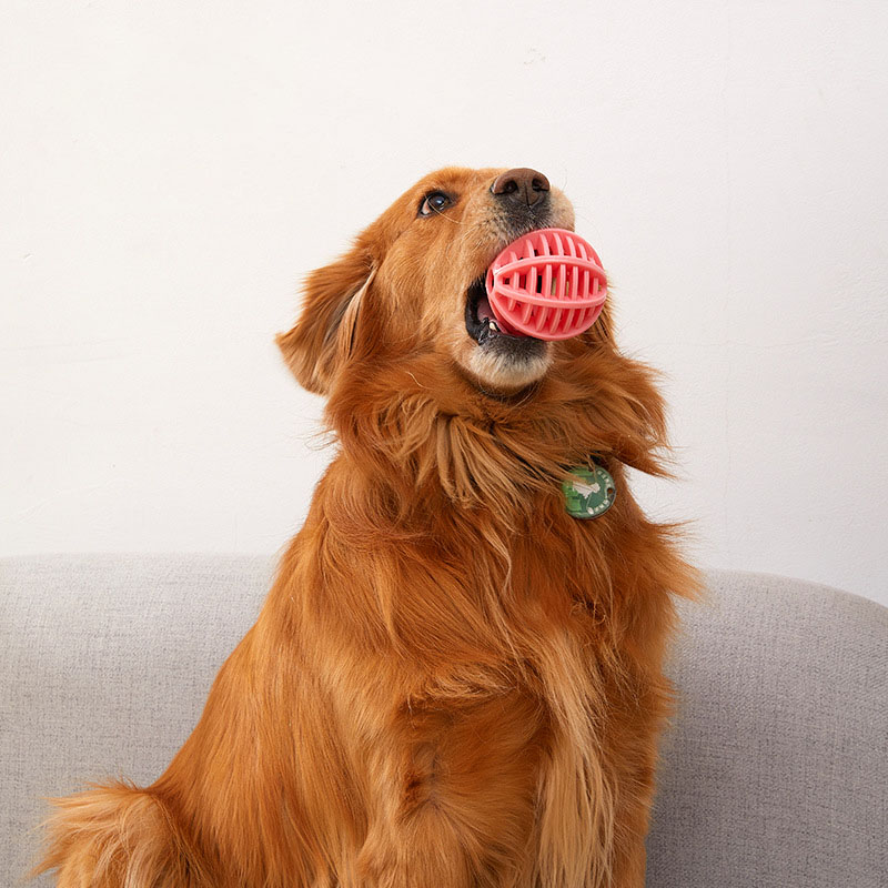 Duurzaam rubberen traktatie-di - Rubber Treat Dispensing Dog Toy recensie en prijs