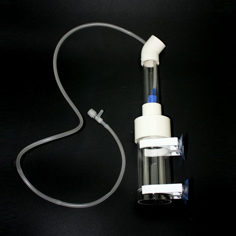 Aquarium Cichliden Tumbler Vis - Aquarium recensie en prijs