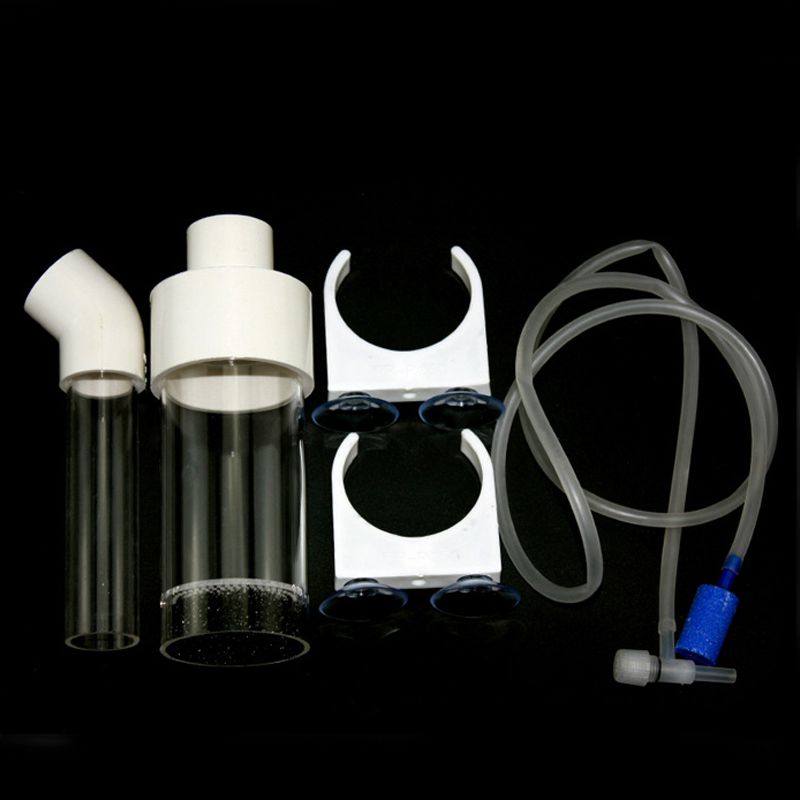 Aquarium Cichliden Tumbler Vis - Aquarium recensie en prijs