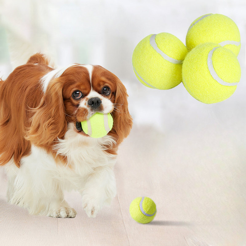 Interactief gestreept rubberen - Interactive Squeaky Plush Dog Toy recensie en prijs