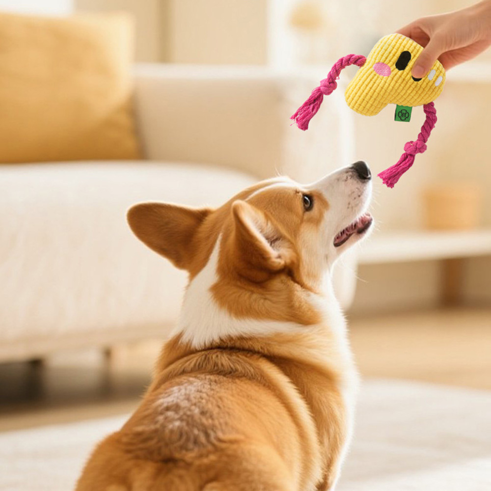Kauwspeeltje voor honden - Duu - Dog Rope Toy Aggressive Chewers recensie en prijs