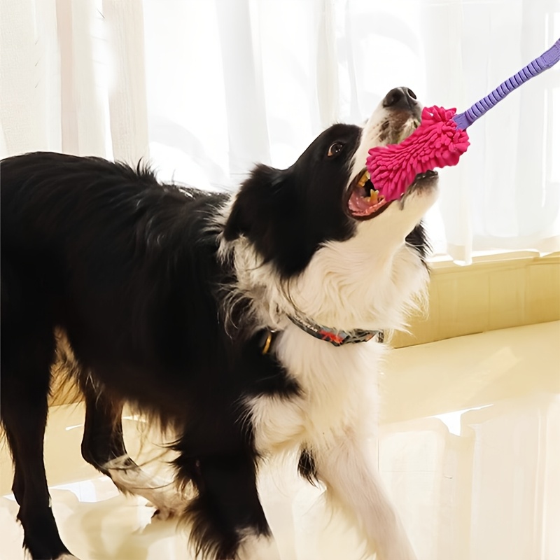 Duurzaam hondenspeelgoed voor  - Suction Cup Dog Tug Toy recensie en prijs