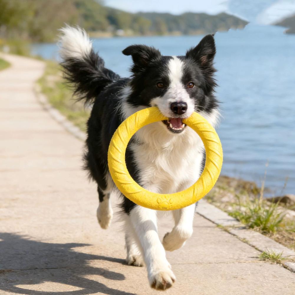 Hondenring Speelgoed Onverwoes - Suction Cup Dog Tug Toy recensie en prijs
