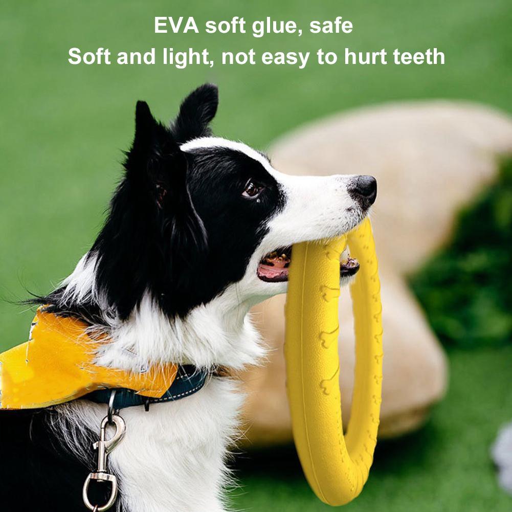 Hondenring Speelgoed Onverwoes - Suction Cup Dog Tug Toy recensie en prijs