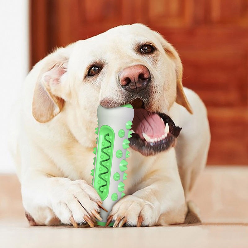 TPR Hondenkaarsenstick Kauwspe - Teeth Cleaning Dog Chew Bone recensie en prijs